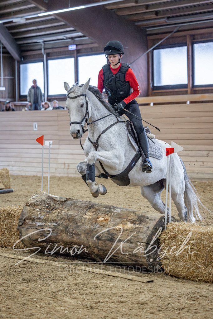 20260221-_3LI9617 | Tierfotografie Pferde, Hunde, Katzen, Haustiere.
Turnierfotografie Reitturniere, Reiten, Springreiten, Dressur in Hanau, dem Main-Kinzig-Kreis und dem Rhein-Main- Gebiet um Frankfurt
