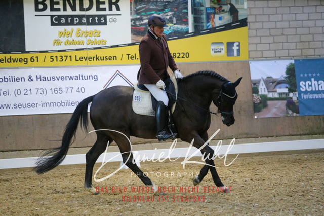 IMG_2847 | Turnierfotos kaufen im Webshop von Daniel Kuhl Photography – entdecke professionelle Reitsportfotos aus Turnieren & Events. Hochwertige Turnierbilder online bestellen & sichern. Jetzt Fotos von Reitsportturnieren kaufen!