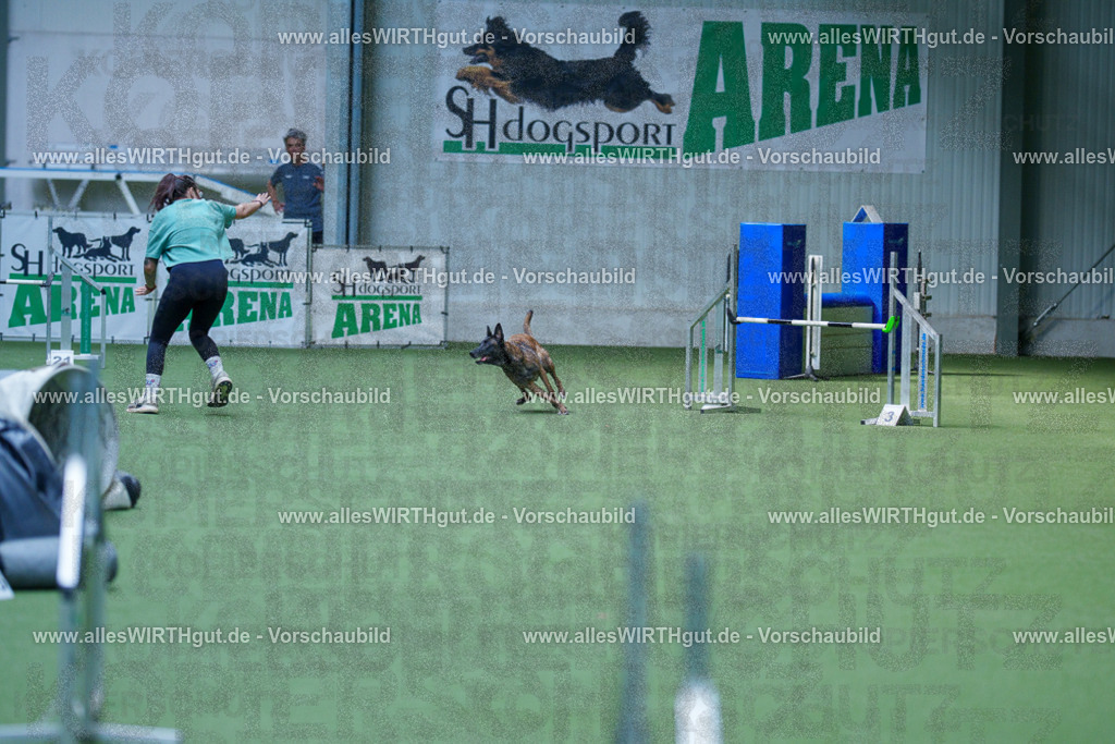 @allesWIRTHgut_Tierfotografie - www.allesWIRTHgut.de - 2604261404-7R503353 | Professionelle Tierfotografie in Mönchengladbach von Daniel Wirth (allesWIRTHgut). Liebevolle & natürliche Bilder von Hunden & Katzen für unvergessliche Erinnerungen.