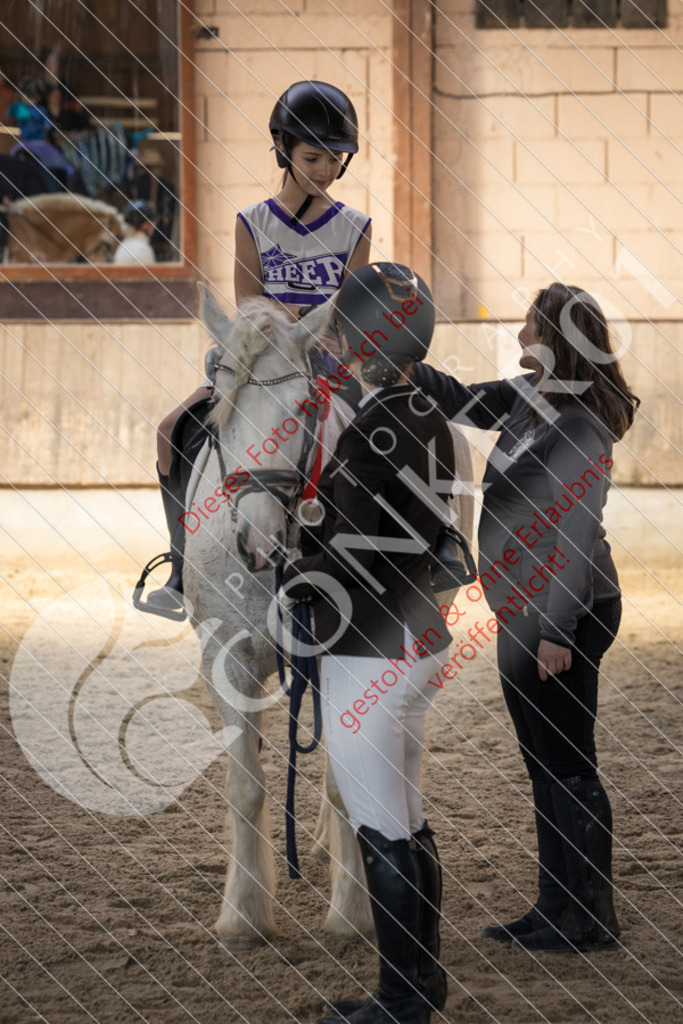 CON_6087 | Sport-, Event- und Tierfotos in Profiqualität. Einfach auswählen, bestellen und herunterladen. Dein Moment – perfekt festgehalten.
