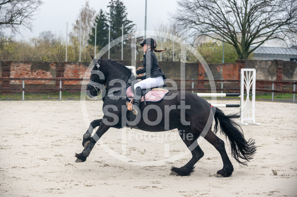 DSC_8187 | sattelsport - Realisiert mit Pictrs.com