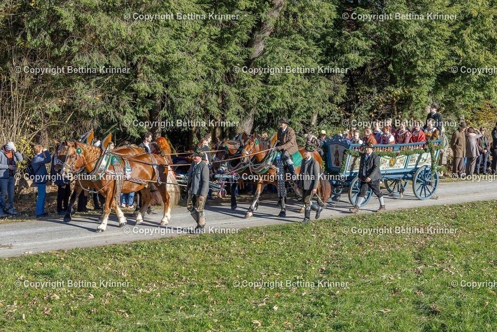 LBT25-487 | foto-bettina-krinner - Realisiert mit Pictrs.com