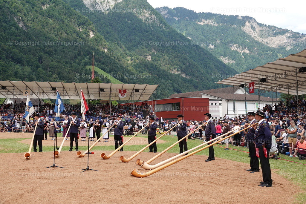 DSC01227 | Schwingen - Realisiert mit Pictrs.com