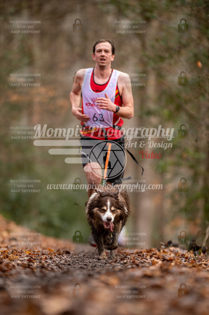 SPA_2023_DIM_CCL-115 | PayLife