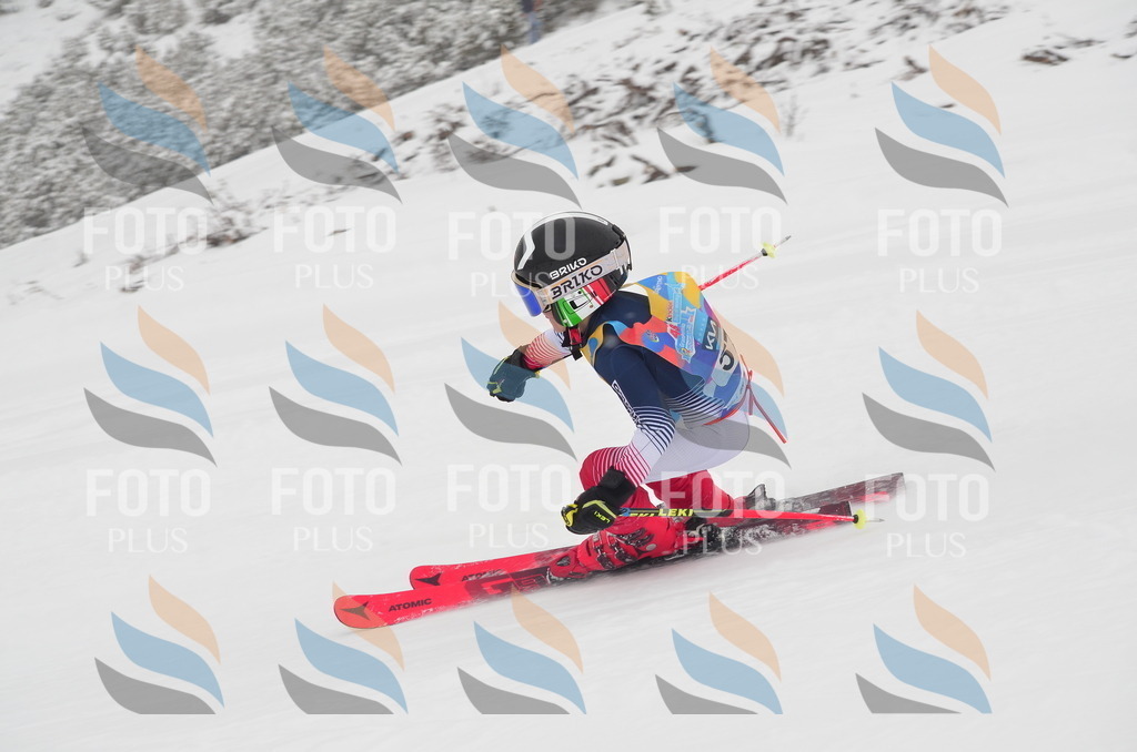 C1015 | holidayphoto