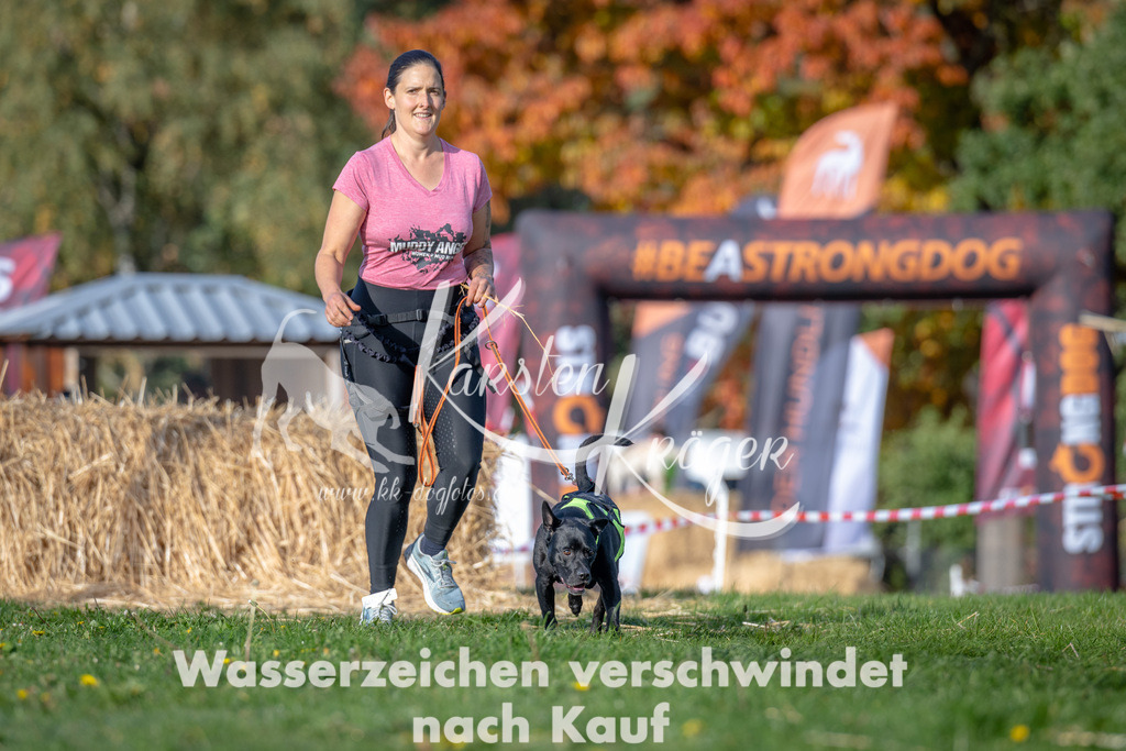 1027_ZZ90466 | kk-dogfotos