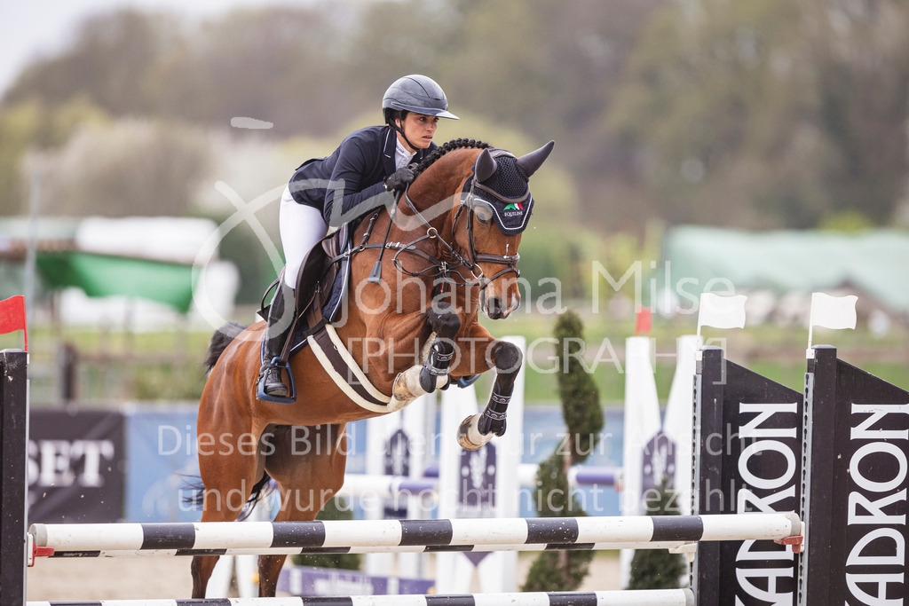 250417_Springpferde-L1-304 | Deine schönsten Turniermomente als professionelle Fotos! Entdecke hochwertige Pferdesport-Fotografie im Online-Shop. Jetzt Fotos finden & bestellen!