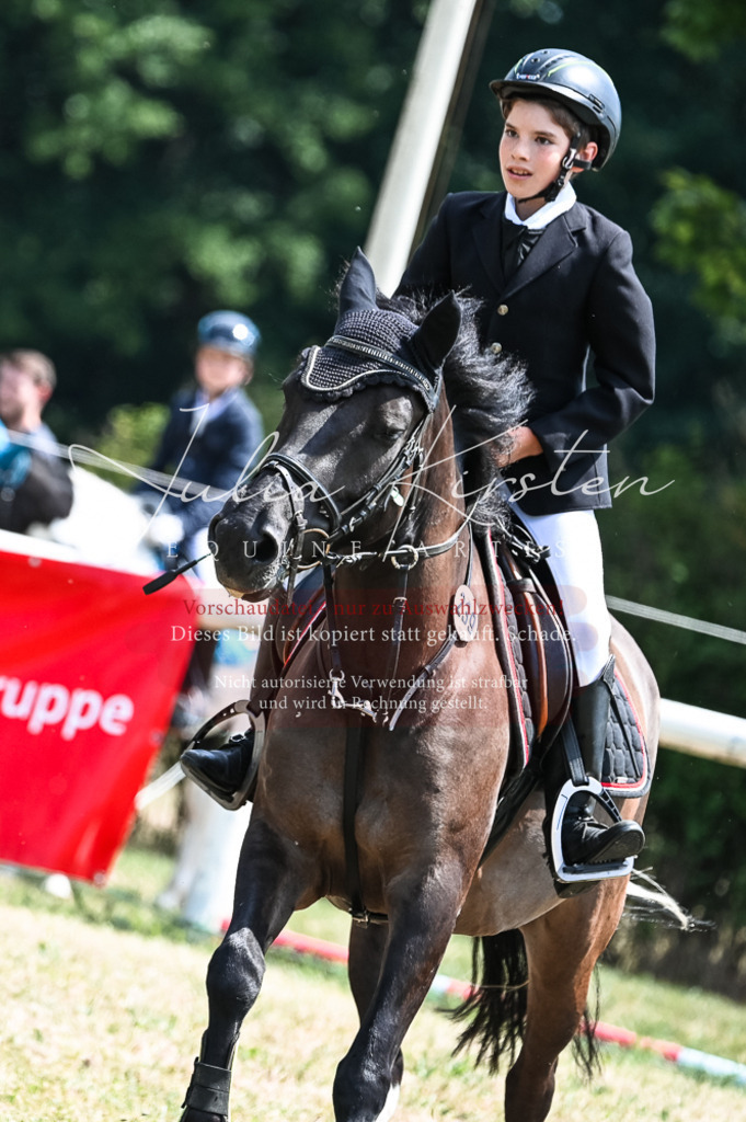 DSC_9774 | Pferde- und Turnierfotografie in Westsachsen. Pferdeportraits, Auftragszeichnungen und intuitive Kunst.
