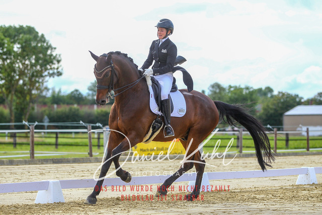 DKP44555 | Turniersportfotografie; Pferdefotografie; Dressurfotografie