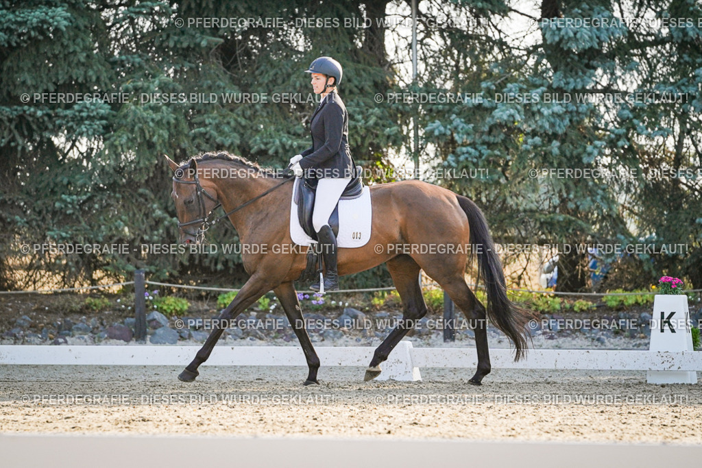 DSC08341 | Pferdegrafie