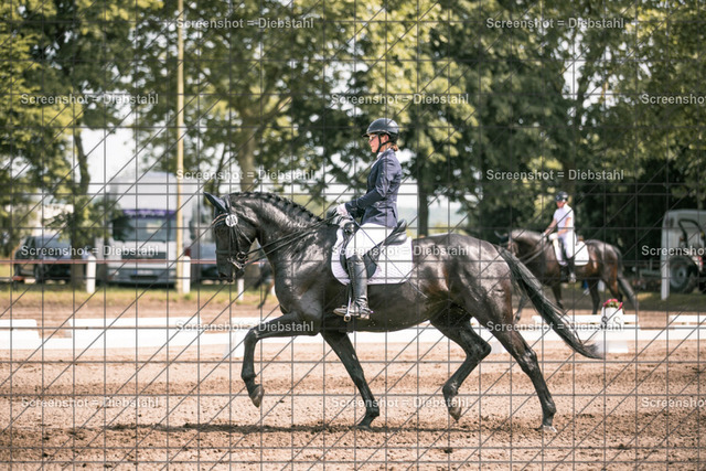 _W6A4279 | ronjaprokoschfotografie - Realisiert mit Pictrs.com