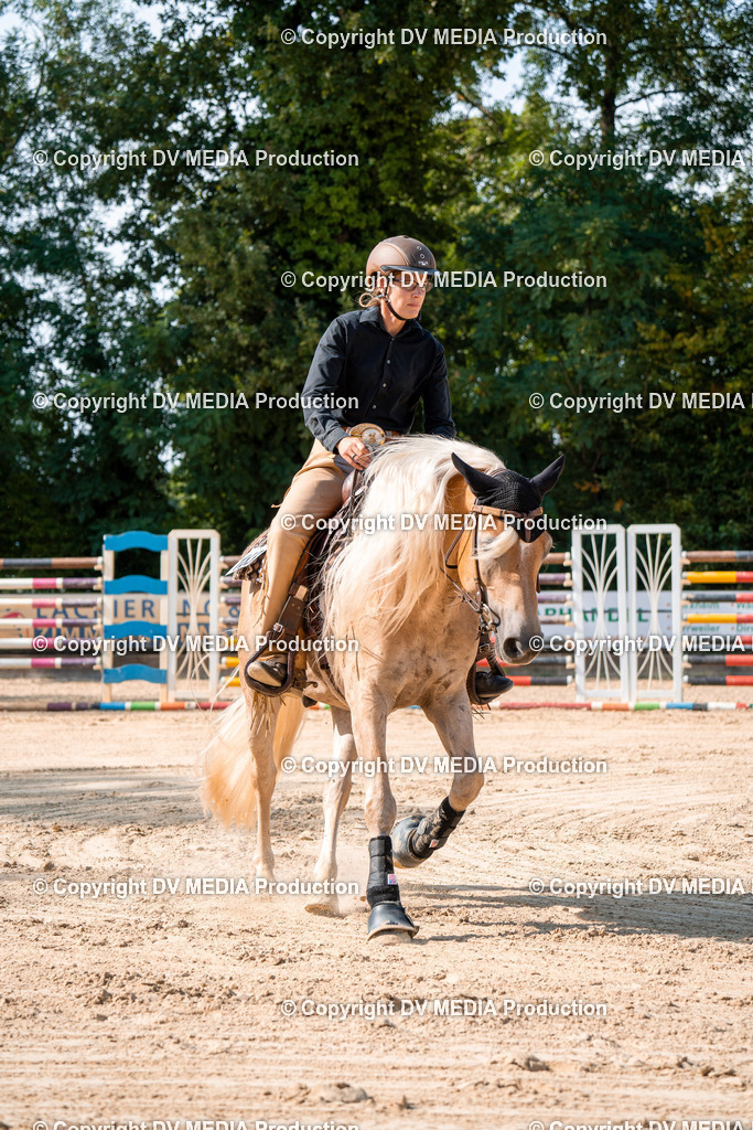 ZH100303 | dv-media-shop - Realisiert mit Pictrs.com