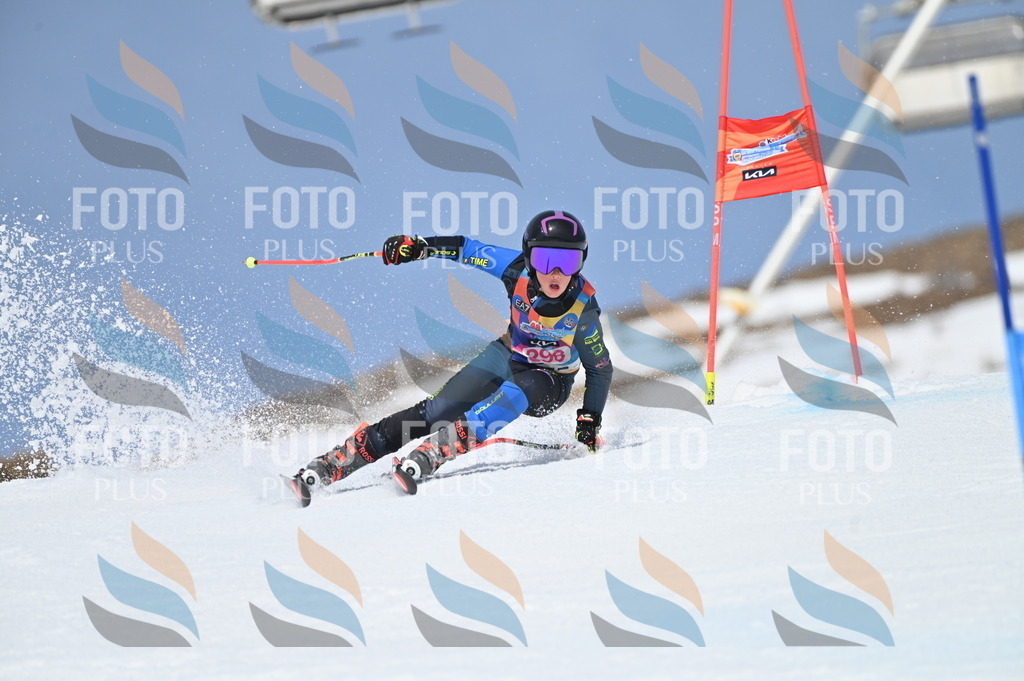 BGV_2737 | holidayphoto