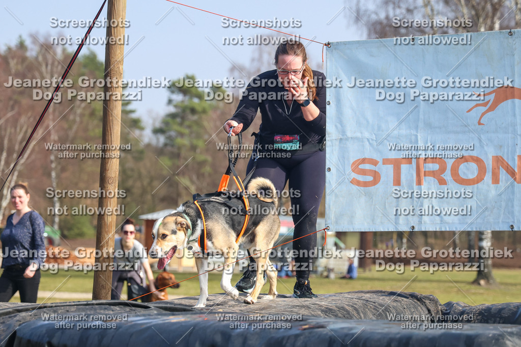 Dog Paparazzi - Strongdog North Mrz26-2254 | Dog Paparazzi Jeanette Grottendiek Fotografie & Videografie - Realisiert mit Pictrs.com
