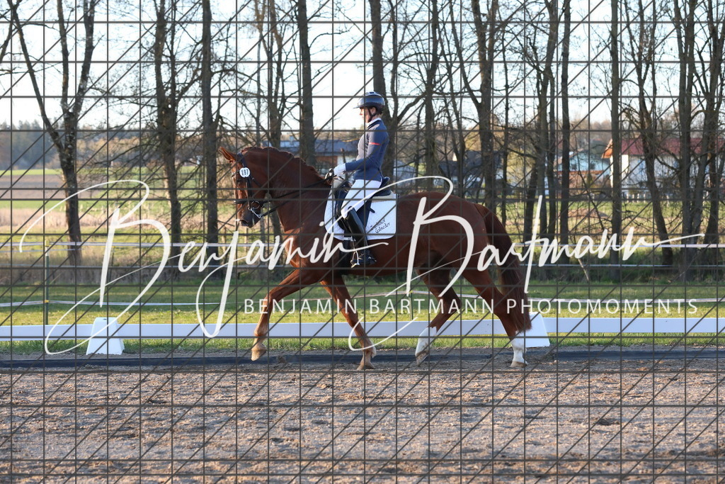 AZ2A7189 | Benjamin Bartmann Photomoments