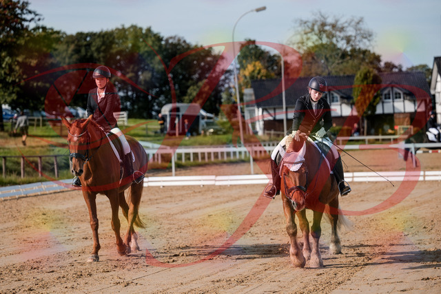 2026_10_03_Siefer-Hof_114448_Z63_24784734 | Professionelle Reitsport-, Turnier- und Eventfotografie von Robert Broda. Galerien mit ausgewählten und bearbeiteten Bildern direkt online ansehen und bestellen.