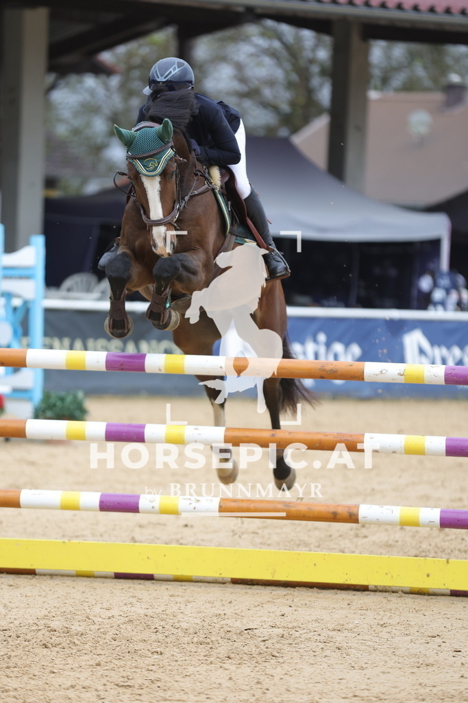 0P6A2748 | Willkommen bei Brunnmayr - Design & Fotografie – Ihrem Spezialisten für Reitturniere und Pferdeveranstaltungen in Oberösterreich, Salzburg und Bayern! Seit über 17 Jahren sind wir leidenschaftlich dabei.