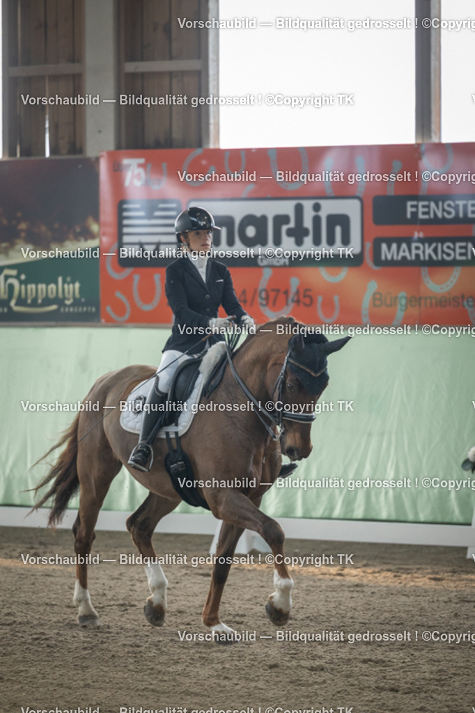 _D5A4184 | Emotionale Pferde- & People-Fotografie rund um Heidelberg, Leimen & Umgebung. Natürliche Fotos von Pferd, Mensch & Familie. Jetzt Termin sichern!