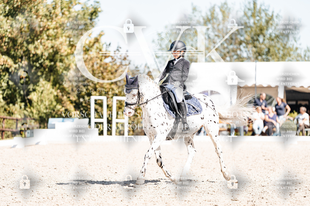 CK904139 | Turnierfotografie Pferdefotografie Trier Rheinland-Pfalz Pferdesport Reitsport Tierfotografie Sportfotografie Pferdevideo Pferdevideografie Equestrianvideography equestrianphotography  - Realisiert mit Pictrs.com