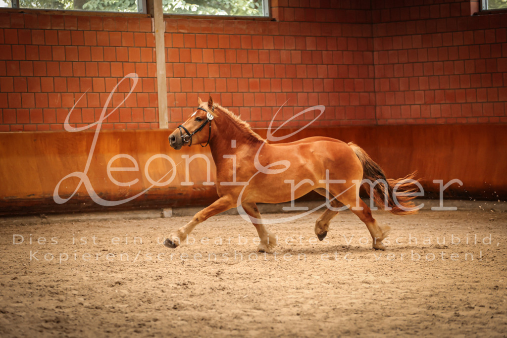 SaFL00167 | Leoni Ertmer Photography - Realisiert mit Pictrs.com