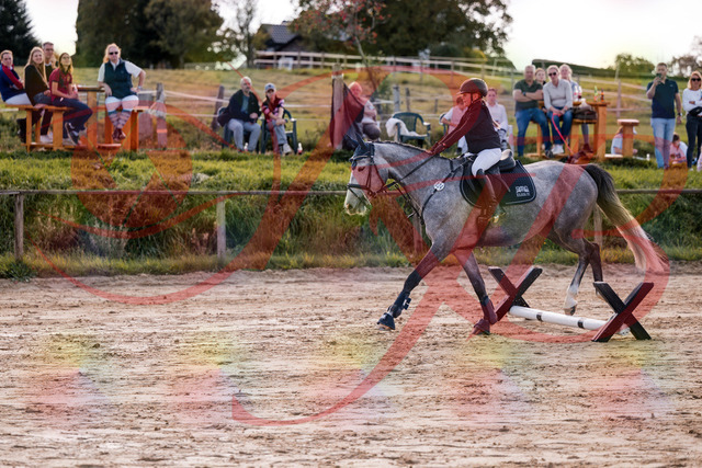 2026_10_03_Siefer-Hof_145110_Z81_29685045 | Professionelle Reitsport-, Turnier- und Eventfotografie von Robert Broda. Galerien mit ausgewählten und bearbeiteten Bildern direkt online ansehen und bestellen.