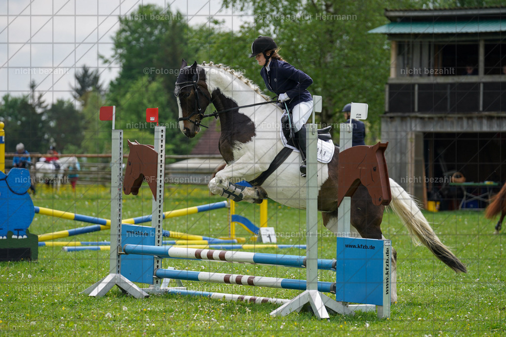 20240509-FAH02374 | Turnierbilder der Turnierfotografen Bayern, Pferdesport Fotografie, Reitsportbilder, Turnier Landberg am Lech, Turnierbilder bayern, Fotoagentur Herrmann