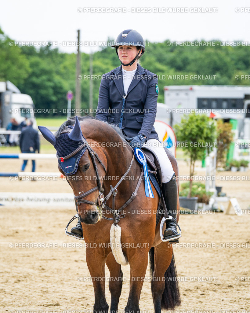 DSC06526 | Pferdegrafie