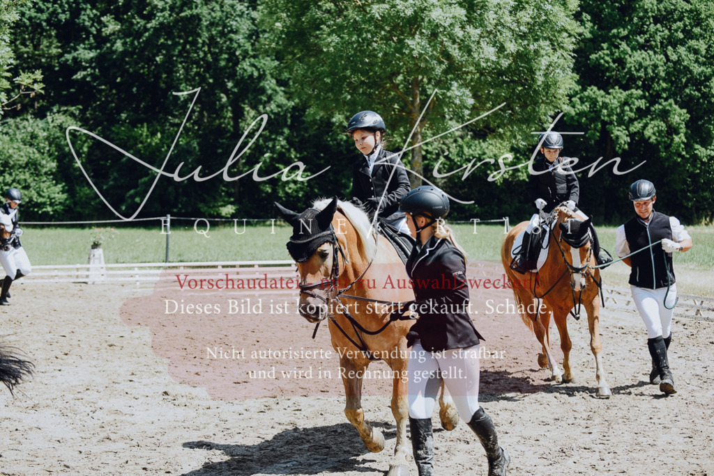 DSC_2607 | Pferde- und Turnierfotografie in Westsachsen. Pferdeportraits, Auftragszeichnungen und intuitive Kunst.