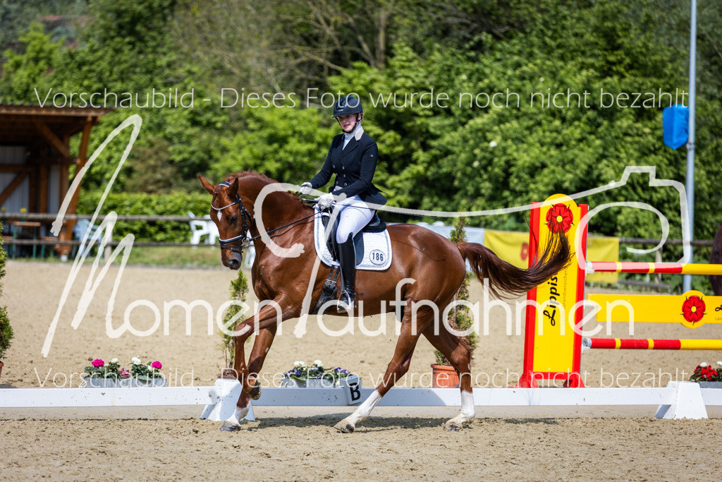 Donop24-L-Dre-050 | MomenTaufnahmen Pferdesportfotos