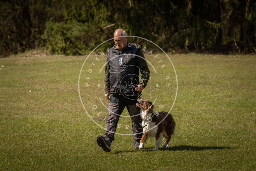 Pfotenfotografie_DV3A1310 | Hundefotografie, Tierfotograf, Pfotenfotografie, Fotoshooting Hund, Hunde Portrait, Hundesport, Hundeportraits, Heideshooting, Hunde, Sportfotograf, Hundefotograf, Turnierhundsport, THS,  - Realisiert mit Pictrs.com