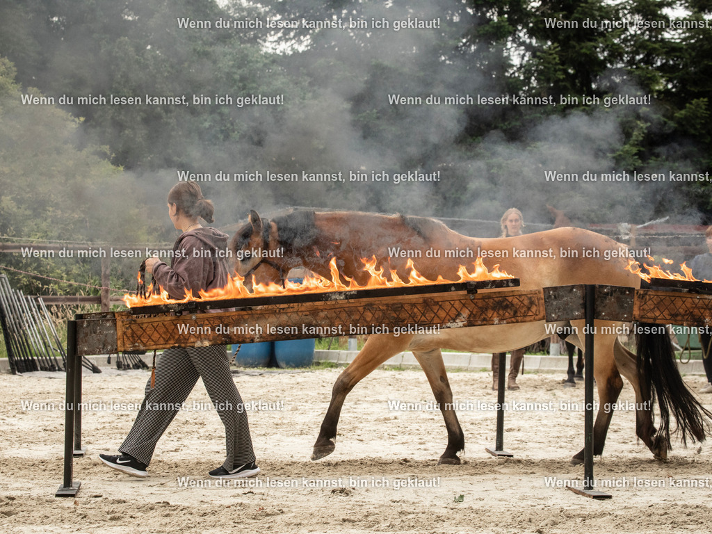 598A6658 | photographylinaismer - Realisiert mit Pictrs.com