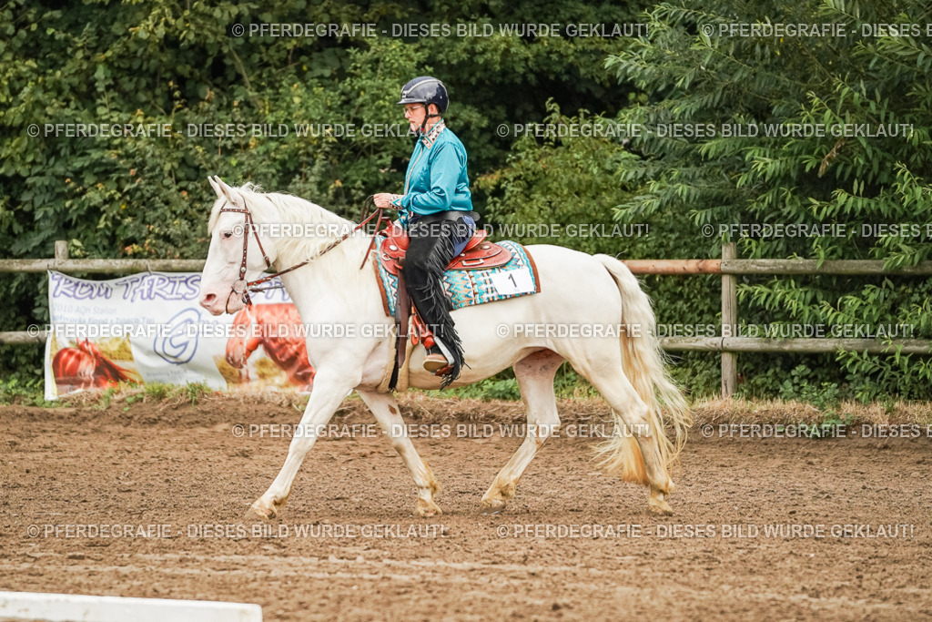 DSC03609 | Pferdegrafie