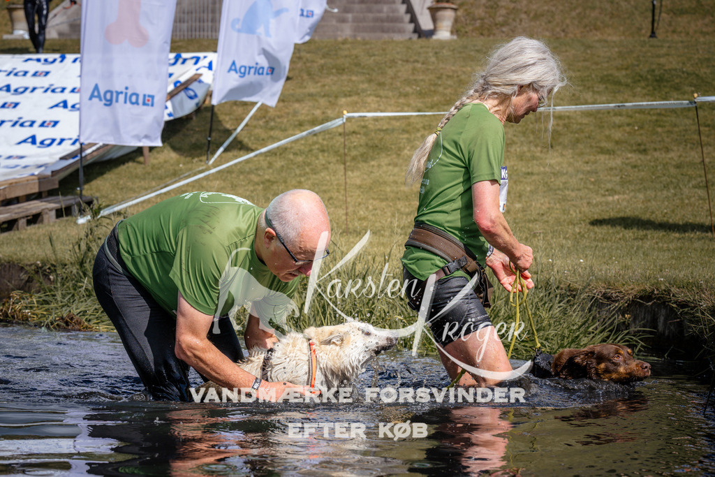 _ZZ926790928 | kk-dogfotos