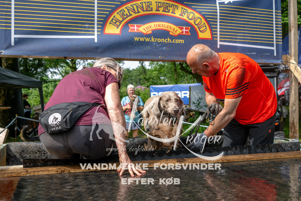 1031_ZZ91067 | kk-dogfotos