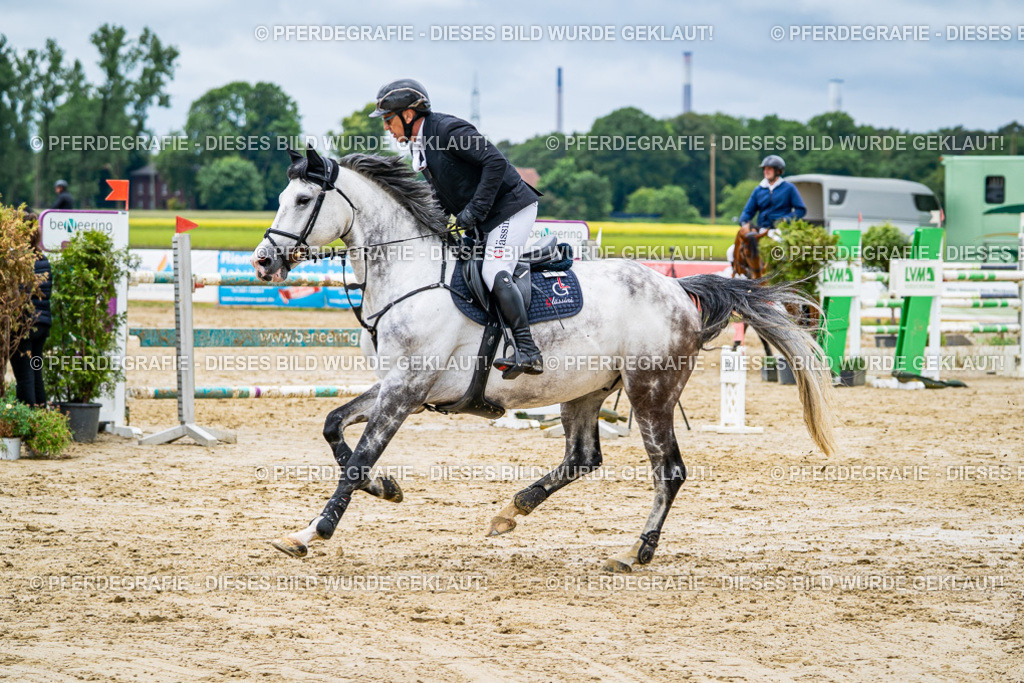 DSC04262 | Pferdegrafie