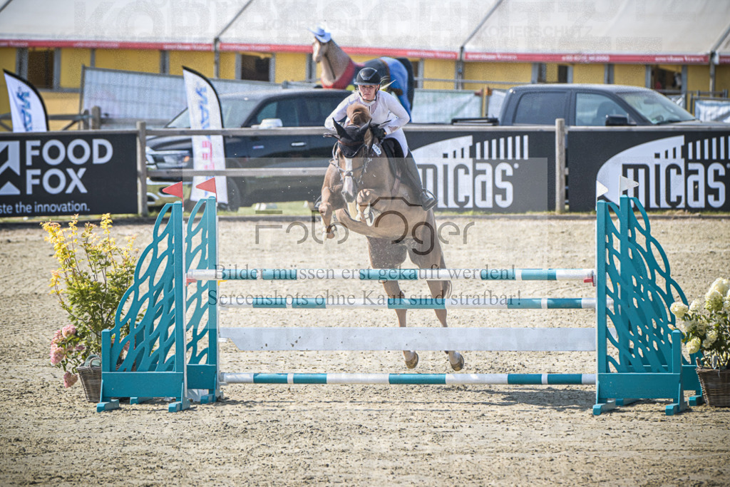 DOS_2009 | Entdecke hochwertige Reitturnierfotos von Foto Oger. Professionell, emotional und authentisch – jetzt Lieblingsmomente im Shop bestellen.Deutschlandweite Turnierfotografie. - Realisiert mit Pictrs.com