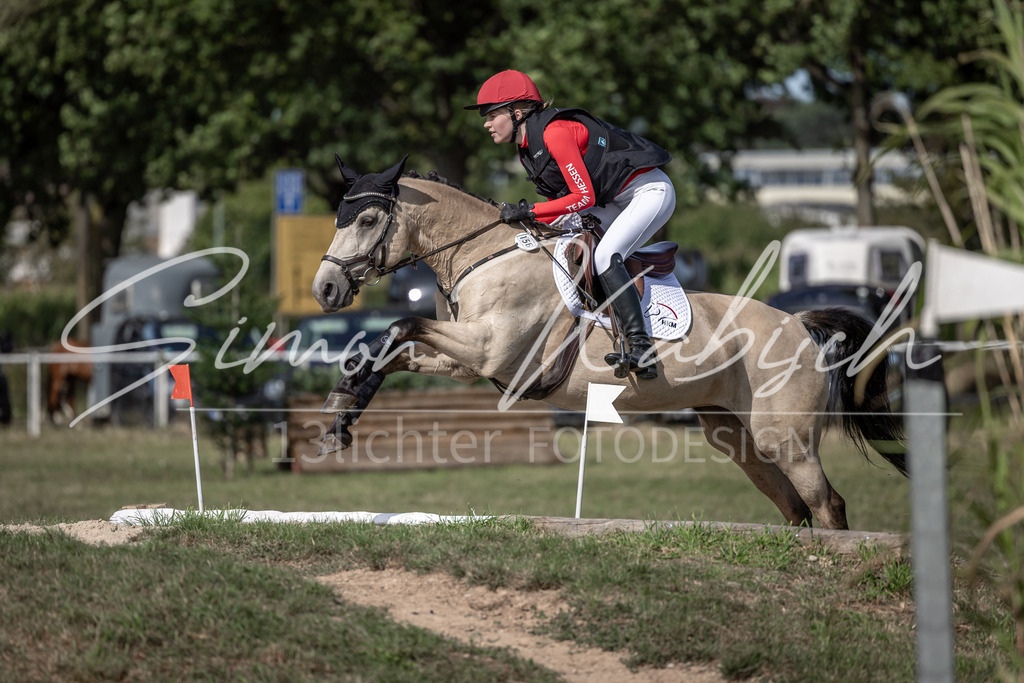 20250907-_3LI9734 | Tierfotografie Pferde, Hunde, Katzen, Haustiere.
Turnierfotografie Reitturniere, Reiten, Springreiten, Dressur in Hanau, dem Main-Kinzig-Kreis und dem Rhein-Main- Gebiet um Frankfurt