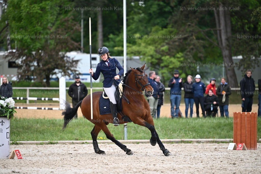 PI26_SP_Sara_Landvogt_226_5588.JPG | working equitationturnier fotograf videograf stoibphotography marixx film working equitation deutschland reitsport turnierfotografie eventfotografie equestrian events