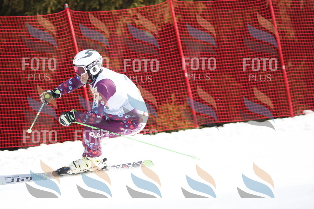 D5874 | holidayphoto