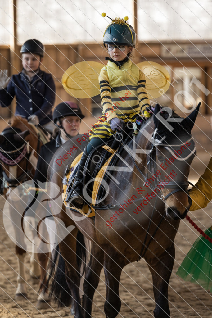 CON_6141 | Sport-, Event- und Tierfotos in Profiqualität. Einfach auswählen, bestellen und herunterladen. Dein Moment – perfekt festgehalten.