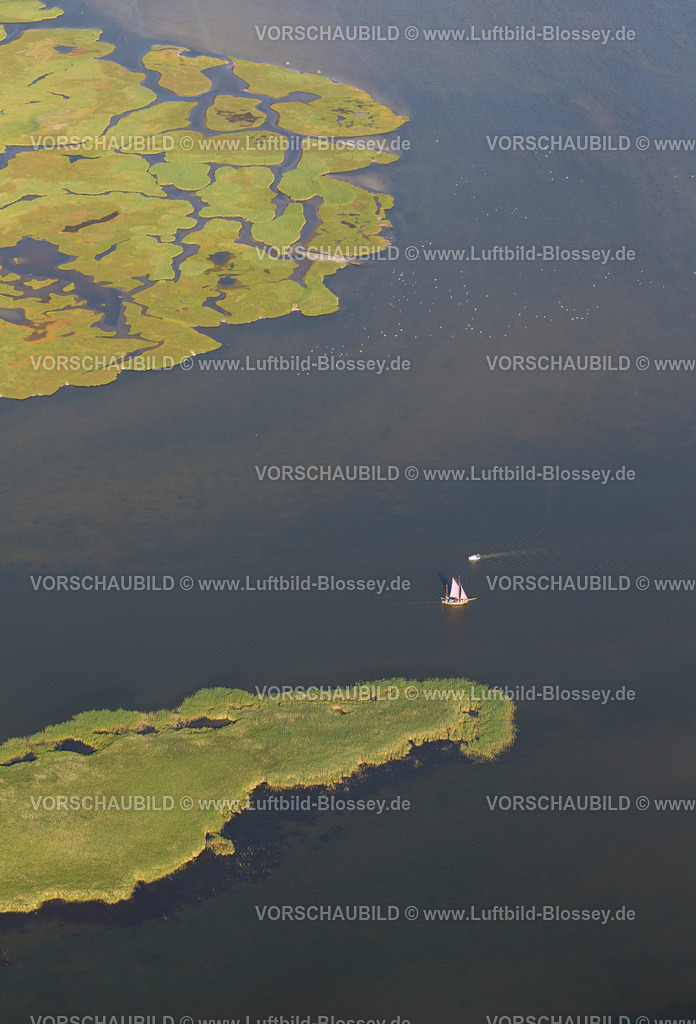 Zingst12082562 | Plattbodenschiff, Segelschiff im Barther Bodden, Insel Großer Kirr, Barther Bodden,  Zingst, Ostsee, Mecklenburg-Vorpommern, Deutschland, Europa