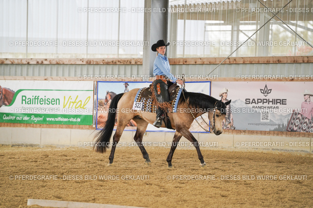 DSC03460 | Pferdegrafie