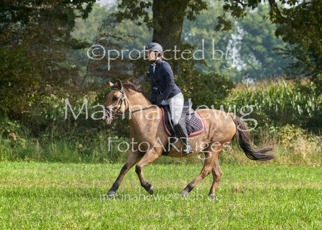 09-23 Jagd Perdöl_MCH0177_Marina Hewig | Fotografie, FotoArt, PferdesportArt, Pferdesportfotografie, Landschaftsfotografie, Reisefotografie, Reise, Pferde - Realisiert mit Pictrs.com