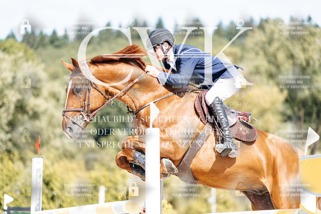 CK908803 | Turnierfotografie Pferdefotografie Trier Rheinland-Pfalz Pferdesport Reitsport Tierfotografie Sportfotografie Pferdevideo Pferdevideografie Equestrianvideography equestrianphotography  - Realisiert mit Pictrs.com