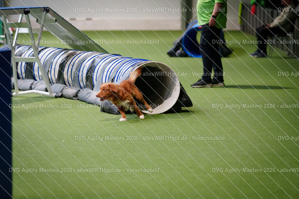 allesWIRTHgut_Tierfotografie-DVG_Agility_Masters_2026-15_51-7R502961 | Professionelle Tierfotografie in Mönchengladbach von Daniel Wirth (allesWIRTHgut). Liebevolle & natürliche Bilder von Hunden & Katzen für unvergessliche Erinnerungen.