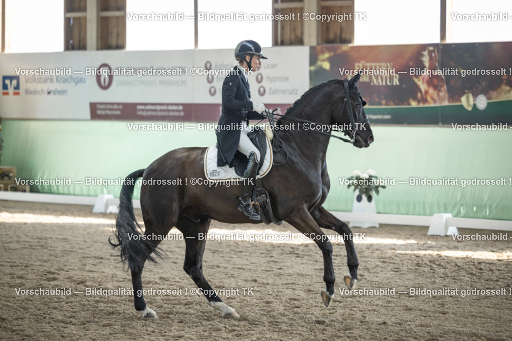 _D5A0310 | Emotionale Pferde- & People-Fotografie rund um Heidelberg, Leimen & Umgebung. Natürliche Fotos von Pferd, Mensch & Familie. Jetzt Termin sichern!