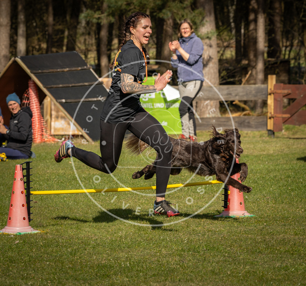 Pfotenfotografie_DV3A1801 | Hundefotografie, Tierfotograf, Pfotenfotografie, Fotoshooting Hund, Hunde Portrait, Hundesport, Hundeportraits, Heideshooting, Hunde, Sportfotograf, Hundefotograf, Turnierhundsport, THS,  - Realisiert mit Pictrs.com
