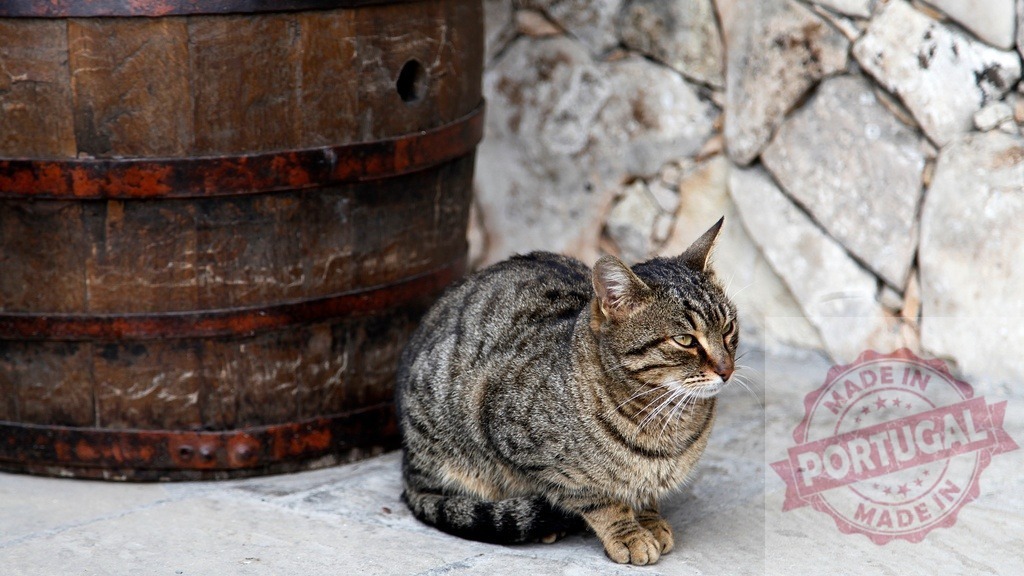 Tabby cat resting by rustic wooden barrel outdoor | Tabby cat resting on a stone pavement next to an old wooden barrel and stone wall - Realisiert mit Pictrs.com