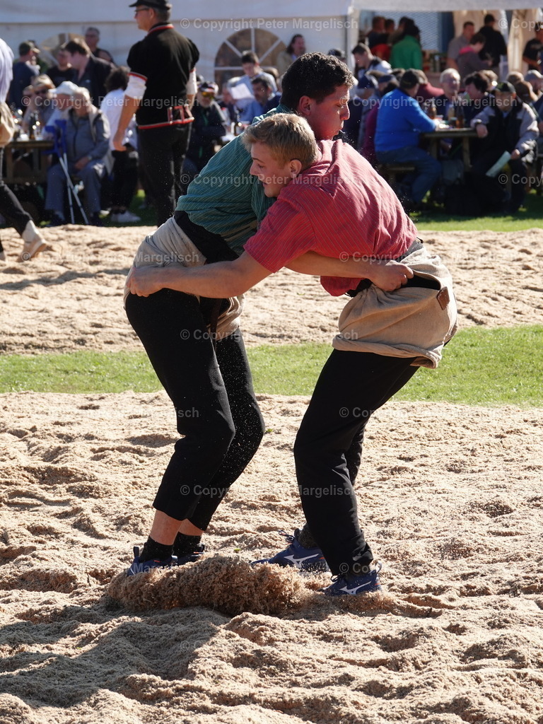 DSC05564 | Schwingen - Realisiert mit Pictrs.com