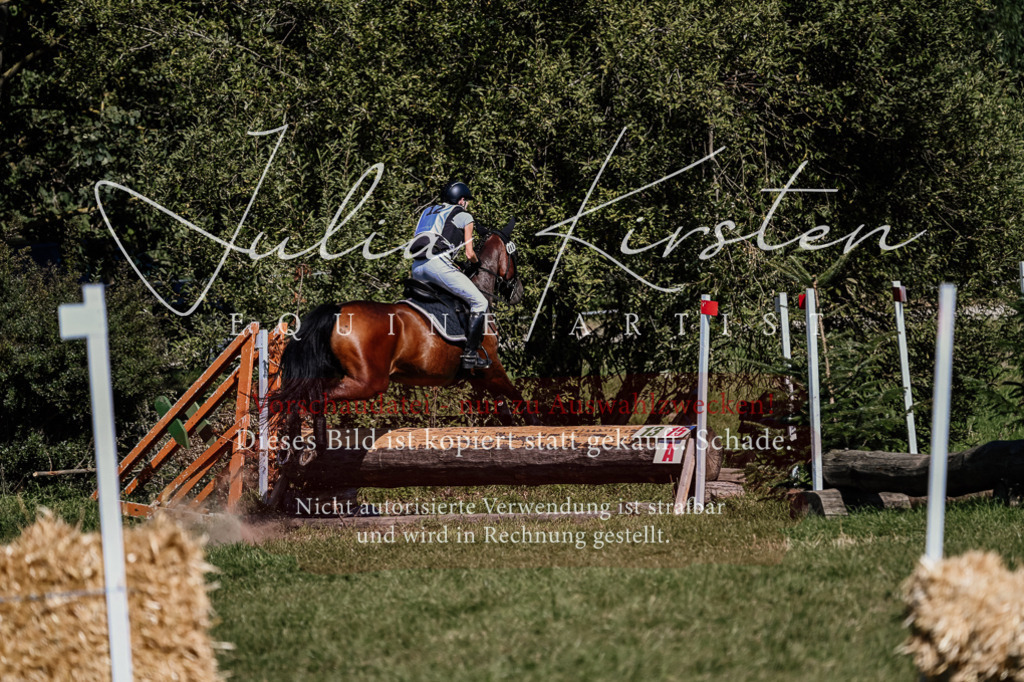 DSC_1755 | Pferde- und Turnierfotografie in Westsachsen. Pferdeportraits, Auftragszeichnungen und intuitive Kunst.